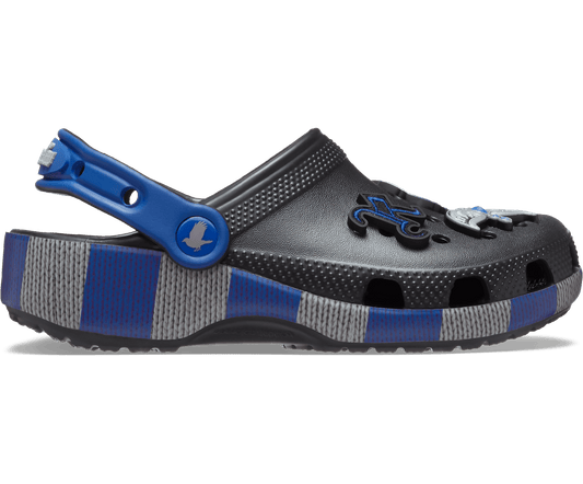Kids' Harry Potter Ravenclaw Classic Clog - Multi